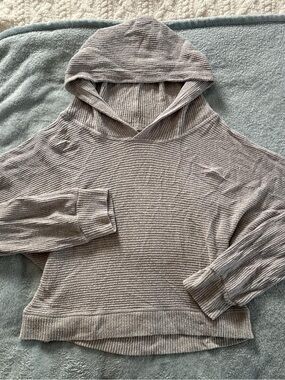 ALTAR’D STATE Cropped Grey Hoodie